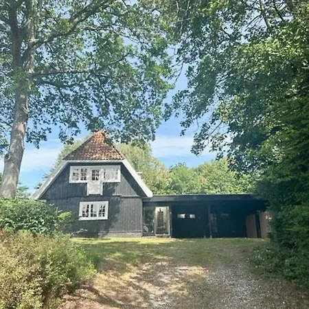 Atmosphere In Forest-clad Setting At