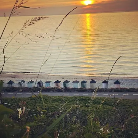 Atmosphere In Forest-clad Setting At * Rageleje