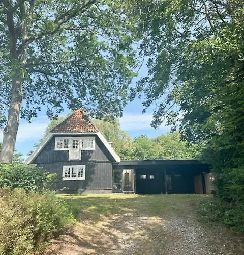 Atmosphere In Forest-clad Setting At Feriehus Rageleje