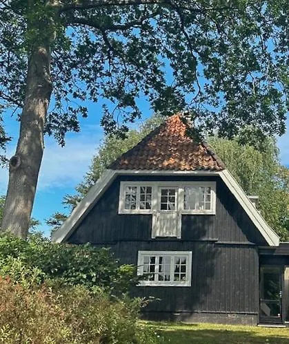 Feriehus Atmosphere In Forest-clad Setting At